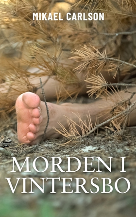Morden i Vintersbo (e-bok) av Mikael Carlson
