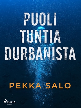 Puoli tuntia Durbanista (e-bok) av Pekka Salo