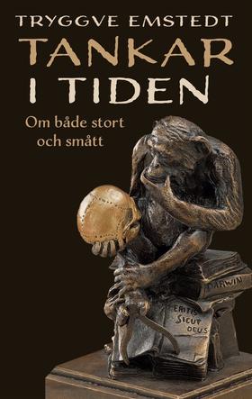 Tankar i Tiden: Om både stort och smått (e-bok)
