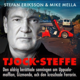 TJOCK-STEFFE (ljudbok) av Stefan Eriksson, Mike