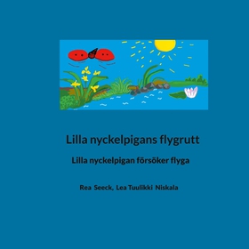 Lilla nyckelpigans flygrutt: Lilla nyckelpigan 