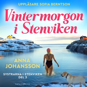 Vintermorgon i Stenviken (ljudbok) av Anna Joha