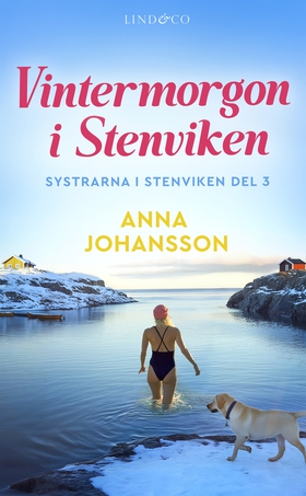 Vintermorgon i Stenviken (e-bok) av Anna Johans