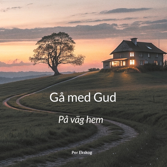 Gå med Gud: På väg hem