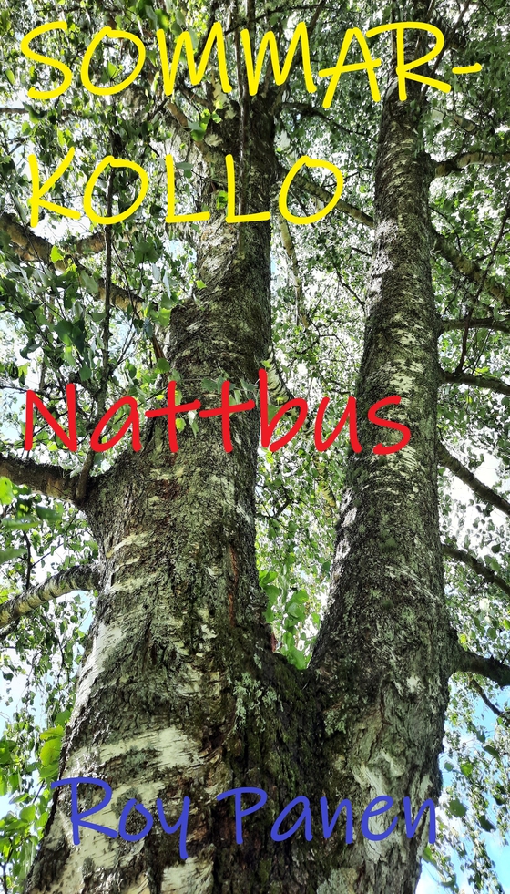 SOMMARKOLLO Nattbus (homoversion)