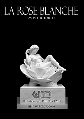 La Rose Blanche (e-bok) av Peter Torell