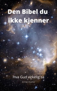 Den Bibel du ikke kjenner (ebok) av Ernie Hum