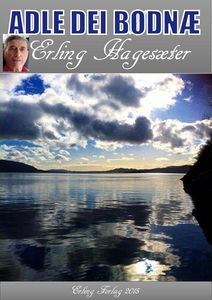 Adle dei bødnæ (ebok) av Erling Hagesæter