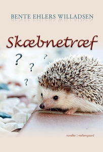 Skæbnetræf (e-bog) af Bente Ehlers Wi