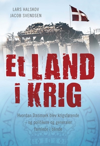 Et land i krig (e-bog) af Lars Halsko
