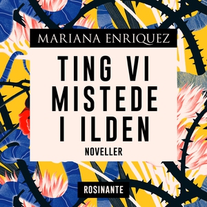 Ting vi mistede i ilden (lydbog) af M