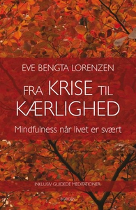 Fra krise til kærlighed (lydbog) af E