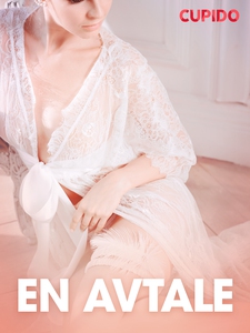 En avtale - erotiske noveller (ebok) av Cupid