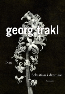 Sebastian i drømme (e-bog) af Georg T
