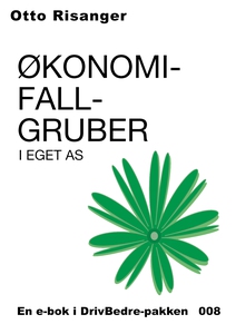 Økonomifallgruber i eget AS (ebok) av Otto Ri