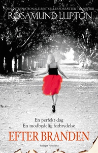 Efter branden (lydbog) af Rosamund Lu