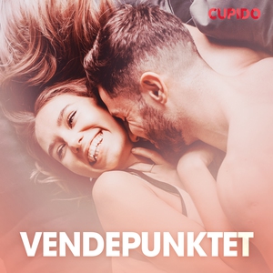 Vendepunktet – erotiske noveller (lydbok) av