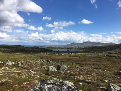 Folket på Skovbo (ebok) av Helge Midtdal