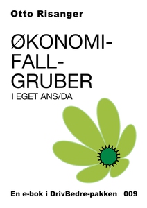 Økonomifallgruber i eget ANS/DA (ebok) av Ott