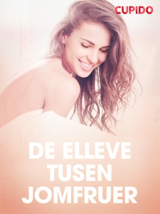 De elleve tusen jomfruer - erotisk novelle (e