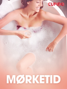 Mørketid - erotiske noveller (ebok) av Cupido