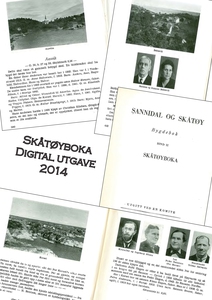 Sannidal og Skåtøy (ebok) av En Kommite, Per