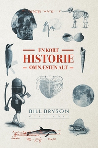 En kort historie om næsten alt (e-bog