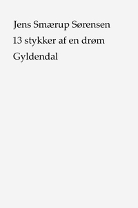13 stykker af en drøm (e-bog) af Jens