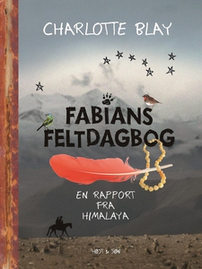 Fabians Feltdagbog (e-bog) af Charlot
