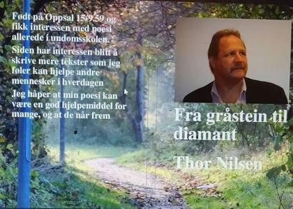 Fra gråstein til diamant Thor Nilsen (ebok) a