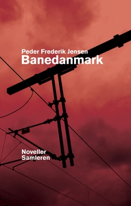 Banedanmark (e-bog) af Peder Frederik