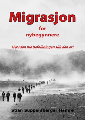 Migrasjon for nybegynnere (ebok) av Stian Sup