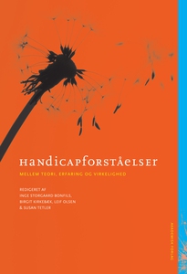 Handicapforståelser - mellem teori, e