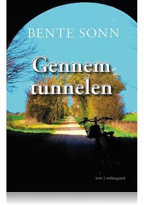 GENNEM TUNNELEN (e-bog) af Bente Sonn