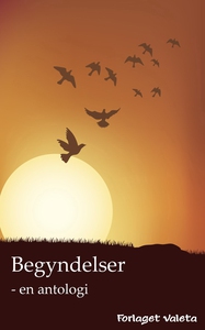 Begyndelser (e-bog) af Camilla Wandah
