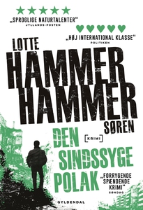 Den sindssyge polak (e-bog) af Lotte