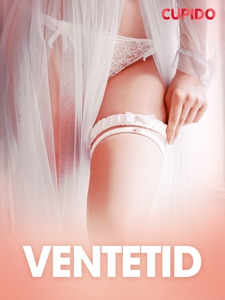Ventetid - erotiske noveller (ebok) av Cupido