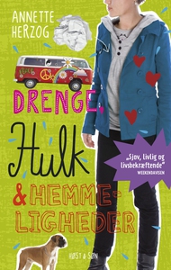 Drenge, hulk og hemmeligheder (e-bog)