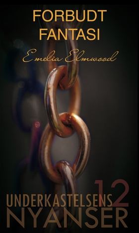Forbudt fantasi (ebok) av Emelia Elmwood