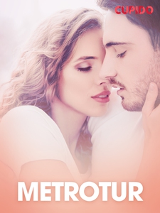 Metrotur – erotiske noveller (ebok) av Cupido