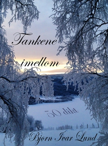 Tankene imellom (ebok) av Bjørn Ivar Lund