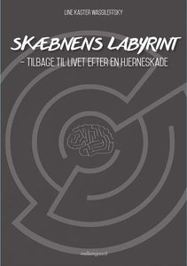 Skæbnens labyrint (e-bog) af Line Kas