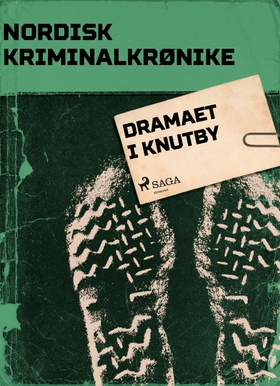 Dramaet i Knutby (ebok) av Diverse forfattere