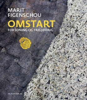 Omstart - Forsoning og frigjøring (ebok) av Marit Figenschou