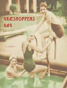 Græshoppens dag (e-bog) af Nathanael