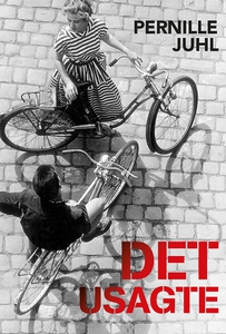 Det usagte (e-bog) af Pernille Juhl