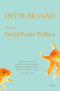 Dette er vand (e-bog) af David Foster