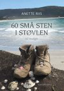 60 SMÅ STEN I STØVLEN (e-bog) af Anet