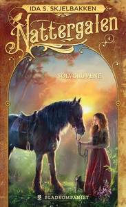 Sølvgruvene (ebok) av Ida S. Skjelbakken