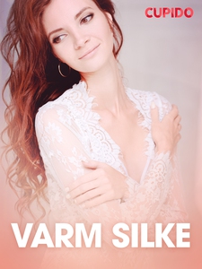 Varm silke - erotiske noveller (ebok) av Cupi